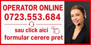 containere vanzari online